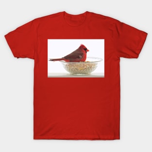 Cardinal No.2 T-Shirt